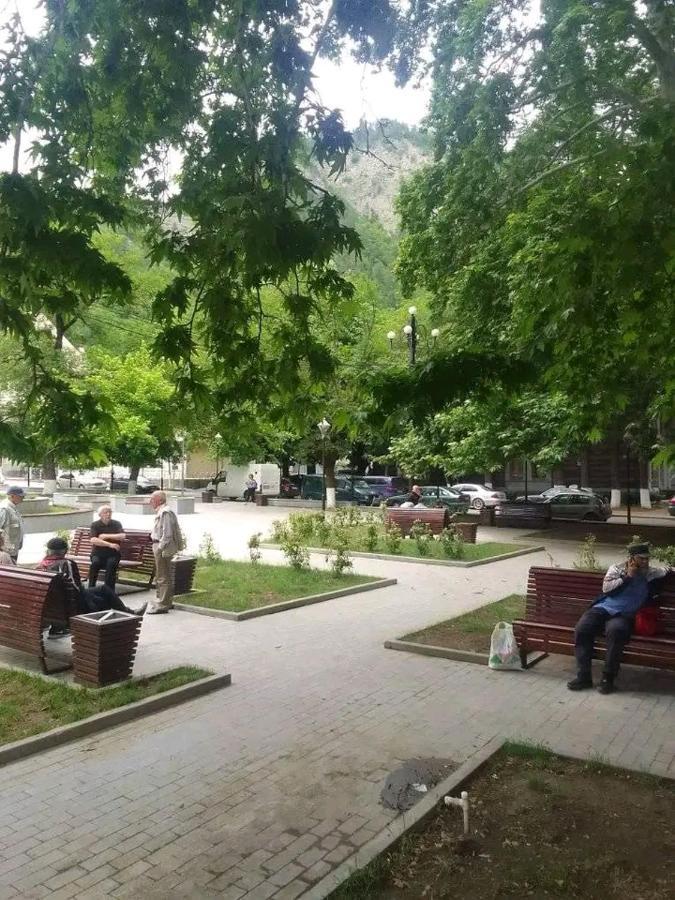 Ananiko Apartment Borjomi Ngoại thất bức ảnh