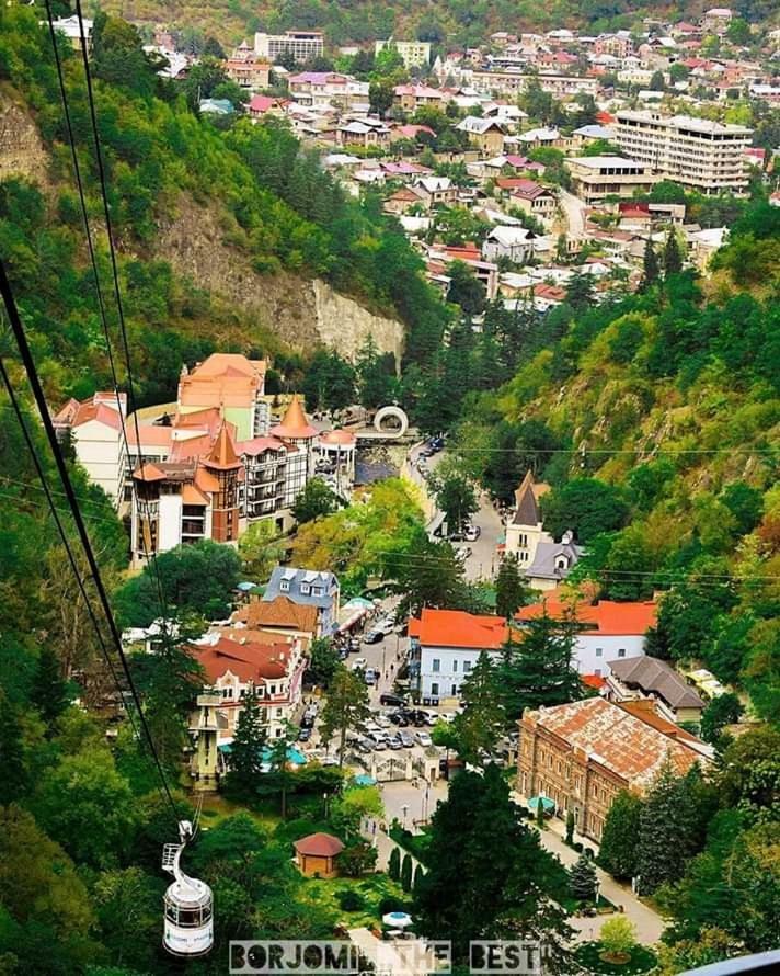 Ananiko Apartment Borjomi Ngoại thất bức ảnh